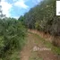 在Azuay出售的 土地, Tarqui, Cuenca, Azuay