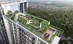 รูปถ่าย 3 of the Communal Garden Area at นิว โนเบิล ศรีนครินทร์ – ลาซาล