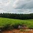  Land for sale in Thailand, Mae Khao Tom, Mueang Chiang Rai, Chiang Rai, Thailand