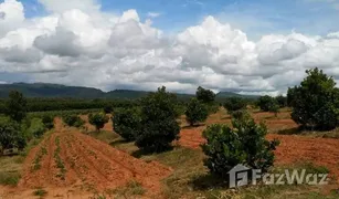 Земельный участок, N/A на продажу в Phon Sung, Loei 