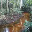  Terreno (Parcela) en venta en Rio Preto Da Eva, Amazonas, Rio Preto Da Eva