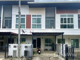 2 Habitación Adosado en alquiler en The Clover Townhome, Pa Daet, Mueang Chiang Mai, Chiang Mai