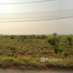  Land for sale in Mueang Chai Nat, Chai Nat, Tha Chai, Mueang Chai Nat