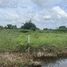  Land for sale in Lam Phak Chi, Nong Chok, Lam Phak Chi