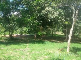  Terrain for sale in Brésil, Rio Preto Da Eva, Amazonas, Brésil