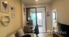 ยูนิตมือสองและให้เช่า