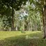 2 Schlafzimmer Haus zu verkaufen in Presidente Figueiredo, Amazonas, Presidente Figueiredo