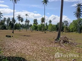 ขายที่ดิน ใน ขนอม, นครศรีธรรมราช, ขนอม, ขนอม