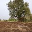  Land for sale in Saraburi, Khao Din Phatthana, Chaloem Phra Kiat, Saraburi