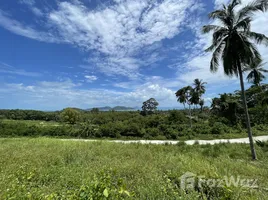  Grundstück zu verkaufen in Koh Samui, Surat Thani, Taling Ngam