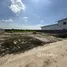  Land for sale at Pinthongland Factory Village, Lahan, Bang Bua Thong, Nonthaburi