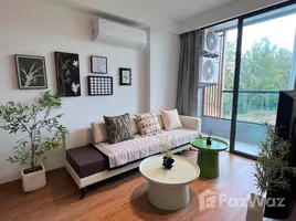 Appartement 1 chambre à louer à Le Chamonix, Pa Daet, Mueang Chiang Mai, Chiang Mai, Thaïlande