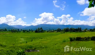 Земельный участок, N/A на продажу в Wora Nakhon, Nan 