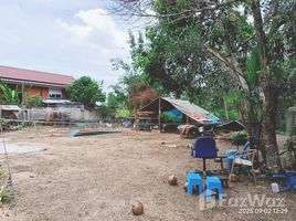  Land for sale in BaanCoin, Samnak Thon, Ban Chang, Rayong, Thailand