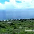  Grundstück zu verkaufen in Lewa, East Nusa Tenggara, Lewa
