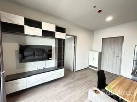 คอนโด 1 ห้องนอน ให้เช่า ในโครงการ ริช พอยท์ @ บีทีเอส วุฒากาศ, ตลาดพลู