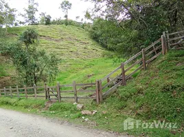  Land for sale in Marulanda, Caldas, Marulanda