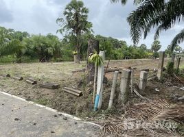  Terrain for sale in Songkhla, Pa Khat, Singhanakhon, Songkhla