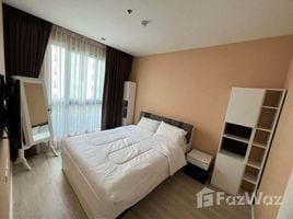 1 Bedroom Apartment for rent at Quinn Condo Ratchada, Din Daeng, Din Daeng