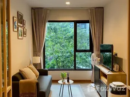 ขายอพาร์ทเม้นท์ 1 ห้องนอน ในโครงการ ไลฟ์ อโศก พระราม 9, มักกะสัน