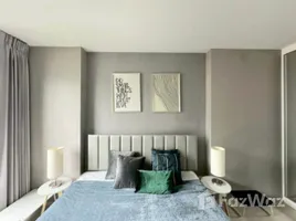 อพาร์ทเม้นท์ 2 ห้องนอน ให้เช่า ในโครงการ ไลฟ์ วัน ไวร์เลส, ลุมพินี, ปทุมวัน