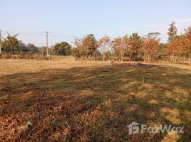 ขายที่ดิน ใน ป่าอ้อดอนไชย, เชียงราย, ป่าอ้อดอนไชย