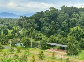 ขายที่ดิน ใน อ่างคีรี, จันทบุรี, อ่างคีรี