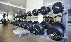 Photo 2 of the Communal Gym at ZCAPE III