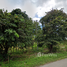  Land for sale in Thailand, Mae Puem, Mueang Phayao, Phayao, Thailand