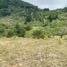  Terreno (Parcela) en venta en Cartago, Cartago, Cartago