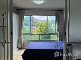 D Condo Kathu-Patong で賃貸用の スタジオ マンション, カトゥ, カトゥ, プーケット