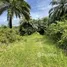  Land for sale in Pa Khlok, Phuket, Pa Khlok, Thalang