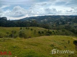 在Envigado, Antioquia出售的 土地, Envigado