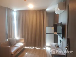 1 Bedroom Condo for rent at The Teak Sukhumvit 39, Khlong Tan Nuea, Watthana, Bangkok, Thailand