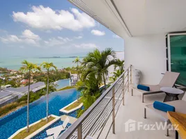 1 Bedroom Apartment for rent in Bo Phut, Surat Thani, Bo Phut, Koh Samui, Surat Thani, Thailand