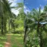  Land for sale in Bang Hin, Ranong, Bang Hin