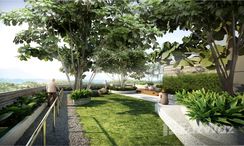 Fotos 2 of the Communal Garden Area at CASCADE Bangtao Beach - Phuket