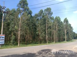  Land for sale in Prachin Buri, Krok Sombun, Si Maha Phot, Prachin Buri