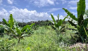 Земельный участок, N/A на продажу в Nong Bon, Трат 