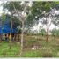  ທີ່ດິນ for sale in ປາກງື່ມ, ວຽງຈັນ, ປາກງື່ມ