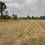  Земельный участок for sale in Yang Sak Krapho Lum, Ubon Ratchathani, Yang Sak Krapho Lum, Muang Sam Sip