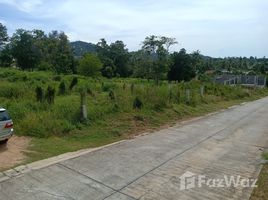 N/A Terrain a vendre à Bo Phut, Koh Samui 5 Rai Land for Sale Very Close to Cheong Mon Beach