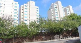 Puerto Lucia Area-Smell The Ocean Breeze Second street to the beach. Very large 3br. 2 ba. Ground F 在售单元