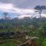  Grundstück zu verkaufen in Autazes, Amazonas, Autazes