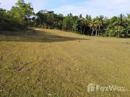  Grundstück zu verkaufen in Bohol, Central Visayas, Ubay, Bohol, Central Visayas, Philippinen