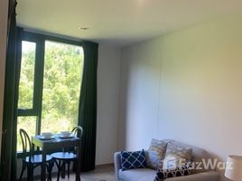 Studio Condo for sale at THE BASE Central Phuket, Wichit, Phuket Town, Phuket