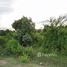  Land for sale in A Noru, Mueang Pattani, A Noru