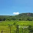  Grundstück zu verkaufen in Selong Belanak, Lombok, Selong Belanak, Lombok Tengah