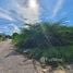  Land for sale in Hua Hin, Nong Kae, Hua Hin