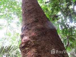  Terreno for sale in Brasil, Tefé, Tefé, Amazonas, Brasil